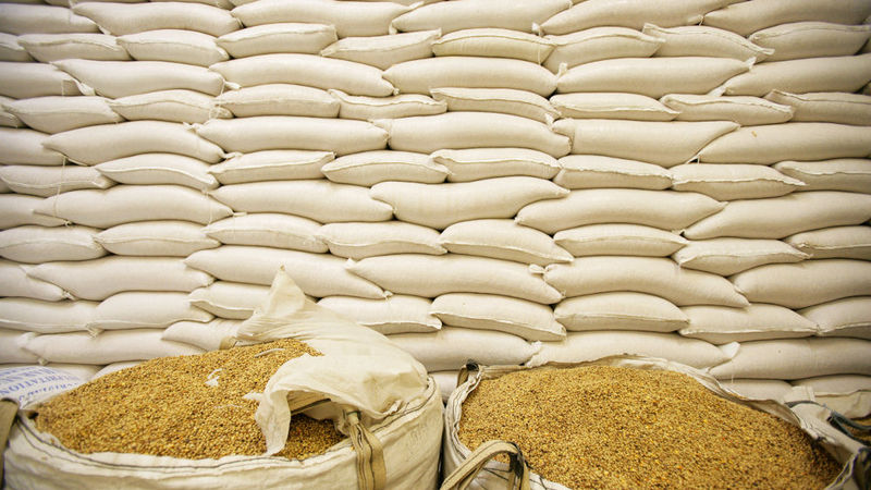 Reasons for optimism about farm harvest prospects In South Africa
