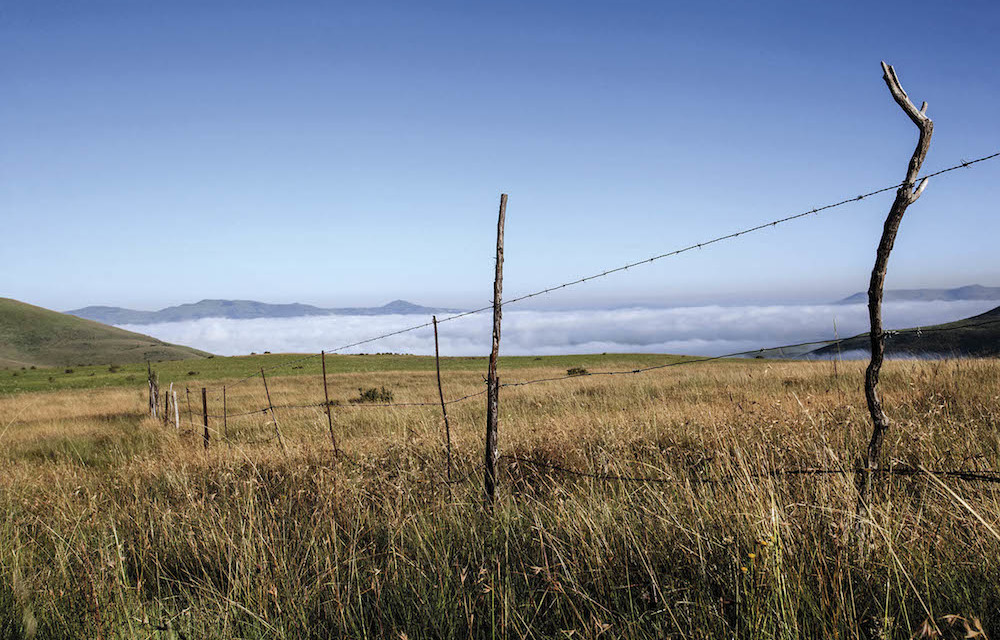 Wandile Sihlobo is too bullish on the Expropriation Act